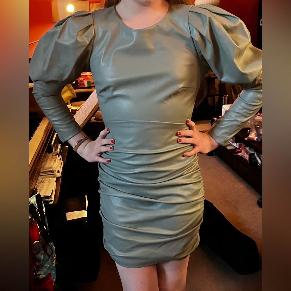 NWT- Zara dress with glam pouf sleeve